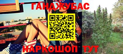 прущие грибы Комсомольск-на-Амуре