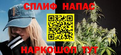 прущие грибы Комсомольск-на-Амуре