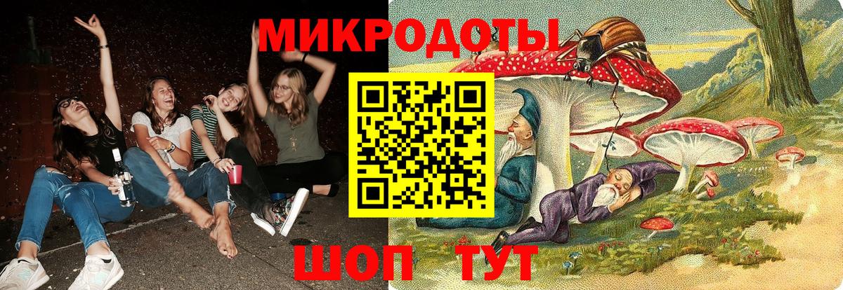 Урус-Мартан  Галлюциногенные грибы Psilocybe  Вход с VPN 
